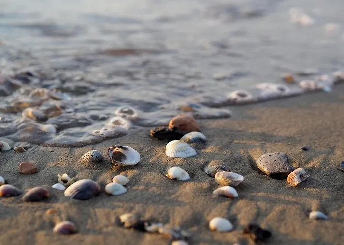 Апартаменты Spacious With Sea View - Beahost