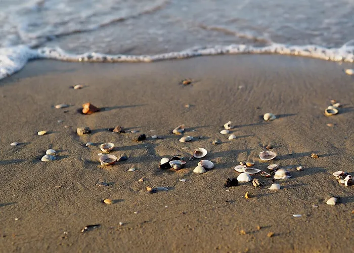 Spacious With Sea View - Beahost Апартаменты *